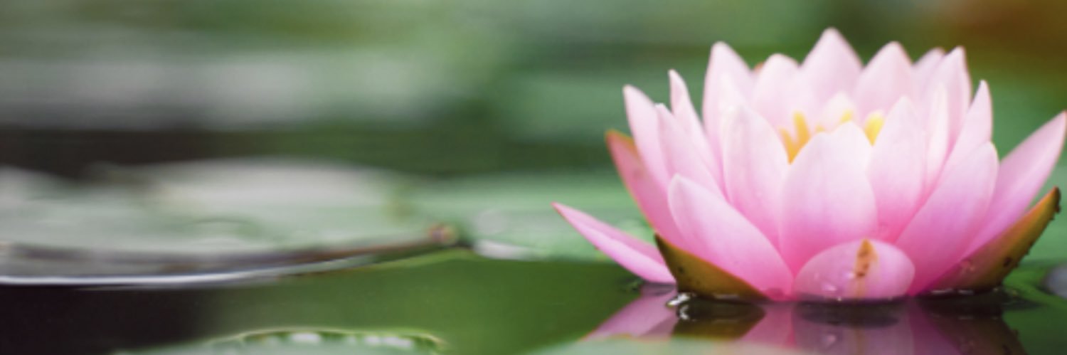 llisatuck's profile banner image