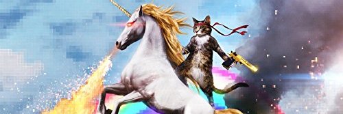 Sergey Zvezda banner