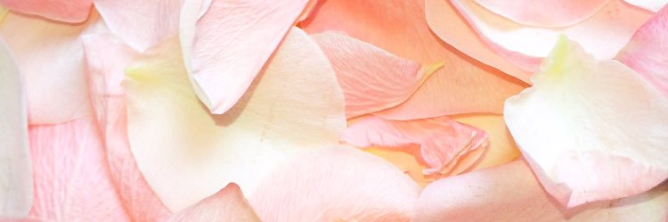 S_S_SS_K's profile banner image