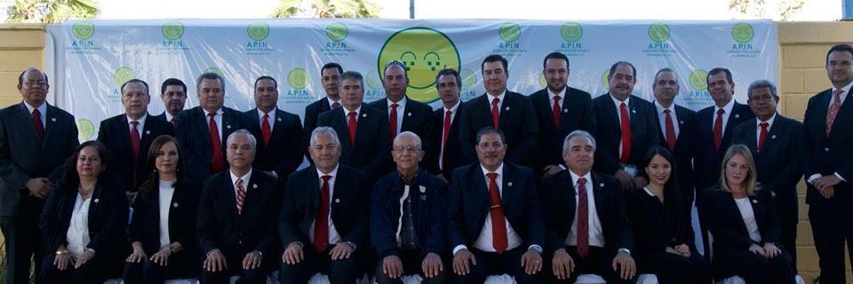 apintorreon's profile banner image