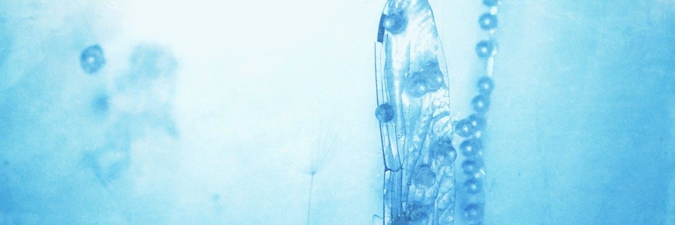 siegut0301's profile banner image
