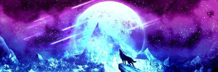 sxyl8x's profile banner image