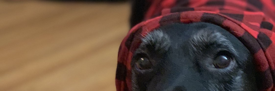 iamrthomas's profile banner image