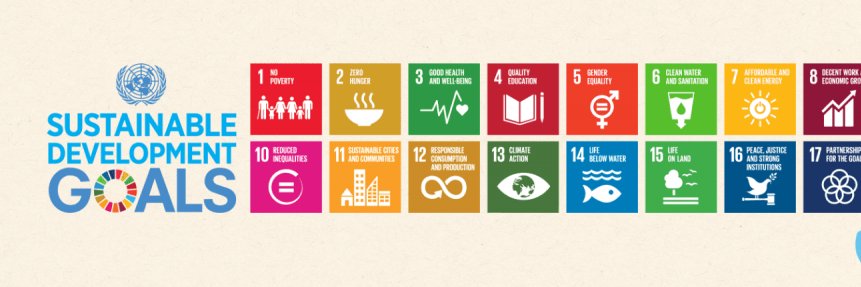 Csilla Demeter banner