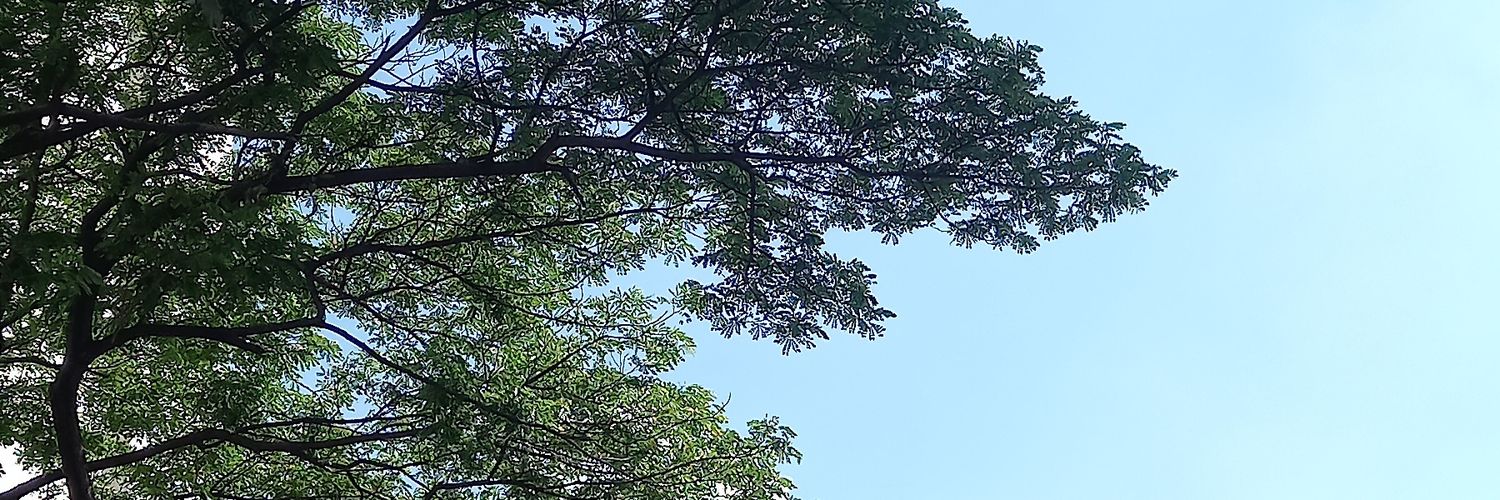 doubledhdy's profile banner image
