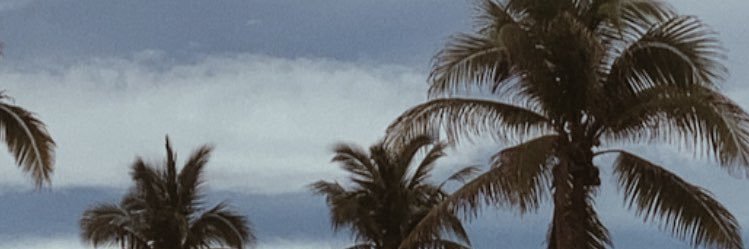 DaNiilili's profile banner image