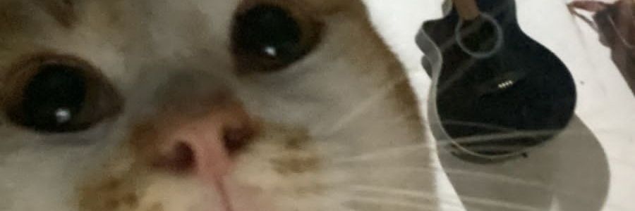 van-nya banner
