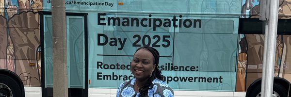 birgitomo Profile Banner