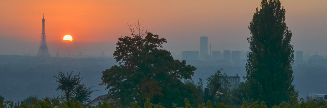 SPB_SURESNES's profile banner image