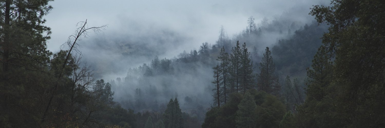 Trees not Tees 🌳 banner