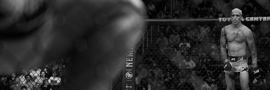 Ruthless MMA 🇵🇸 banner