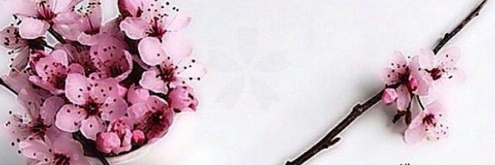 DanAsoom's profile banner image