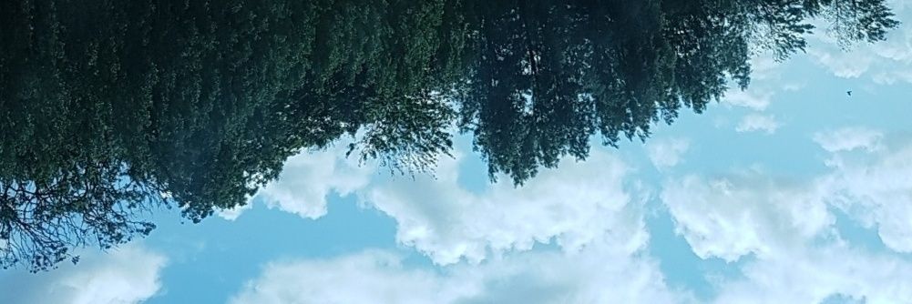 lukiiz44's profile banner image