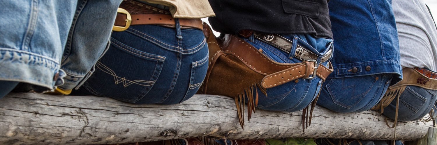 fall out boypussy banner