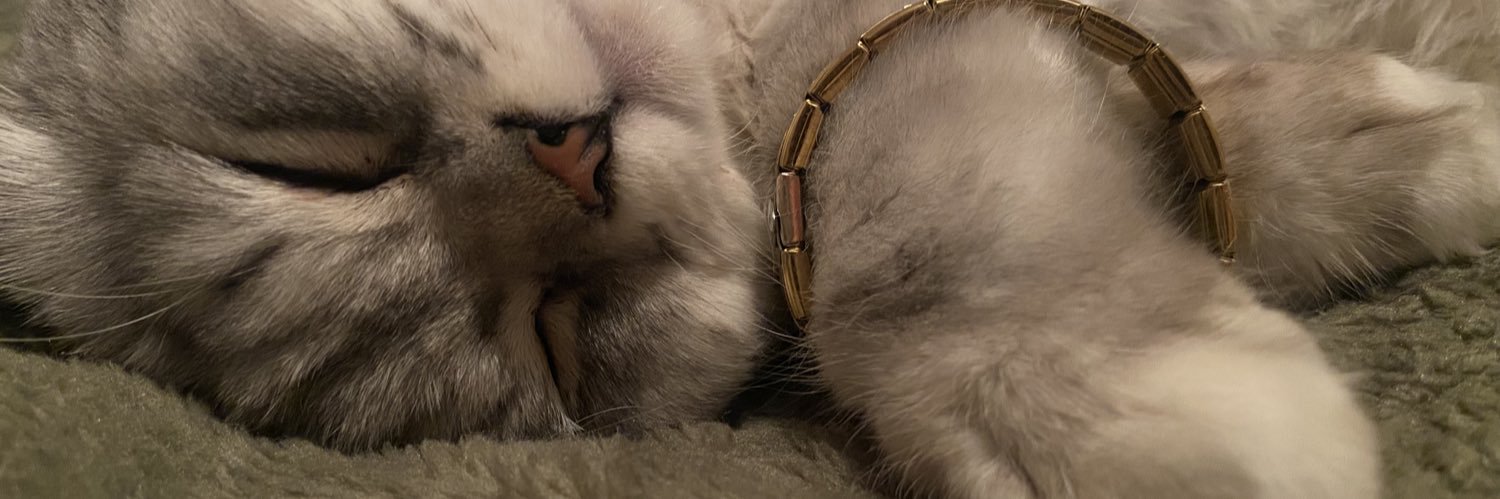 zelihaitak's profile banner image