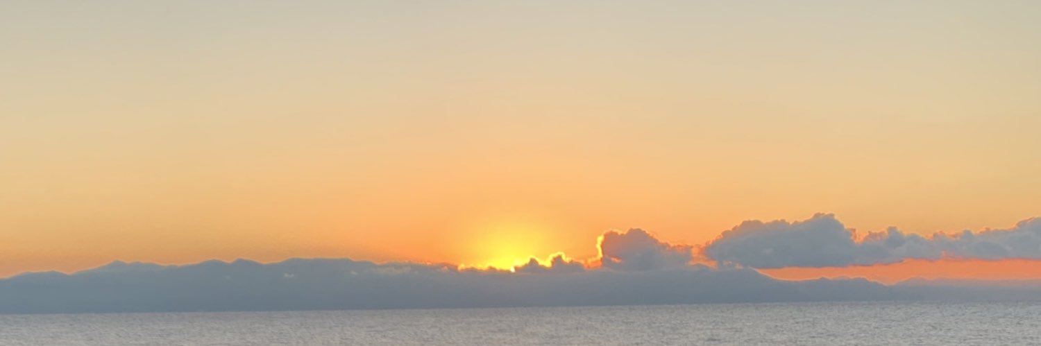 tinnenn's profile banner image