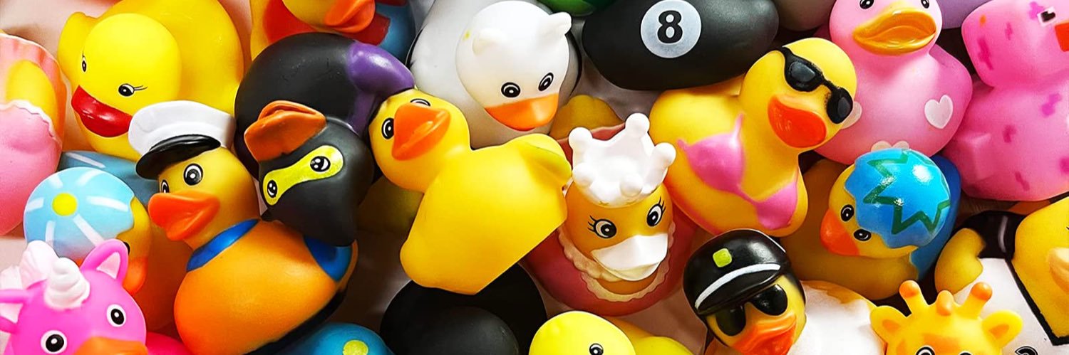 Meredith Shaw banner