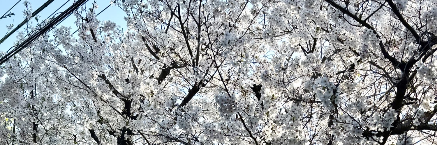 gomakko's profile banner image