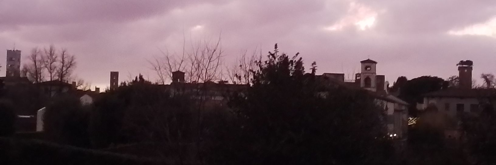 Simonella Davini 🇺🇦 banner