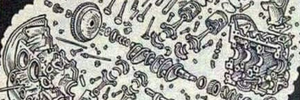 fadi_adly's profile banner image