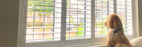 theshutterstud Profile Banner