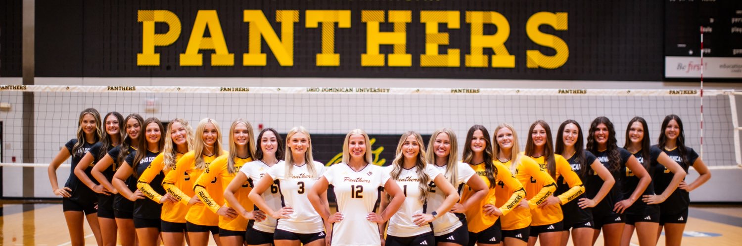 Ohio Dominican Volleyball banner