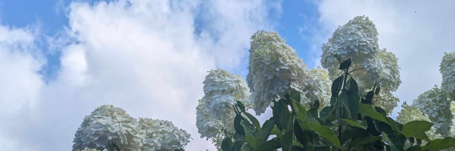 apple core gumbysaur banner