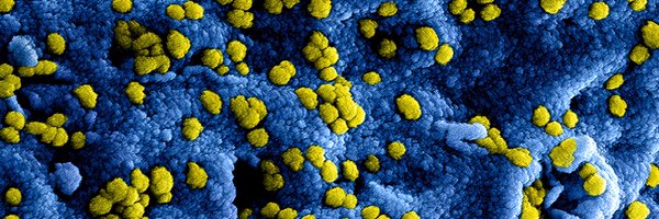 ucsfmicrobiome Profile Banner