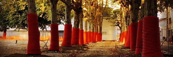 zentree Profile Banner