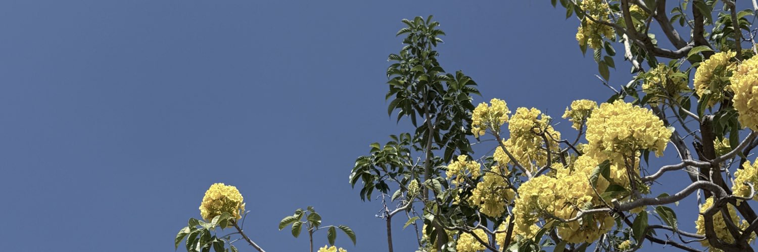 Rebeeeeeca's profile banner image