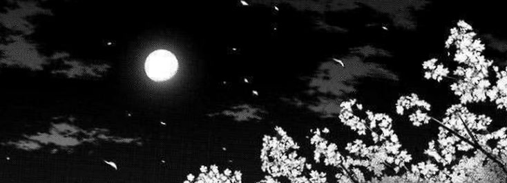 faeluna69's profile banner image