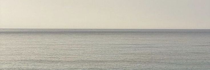 ✿ banner