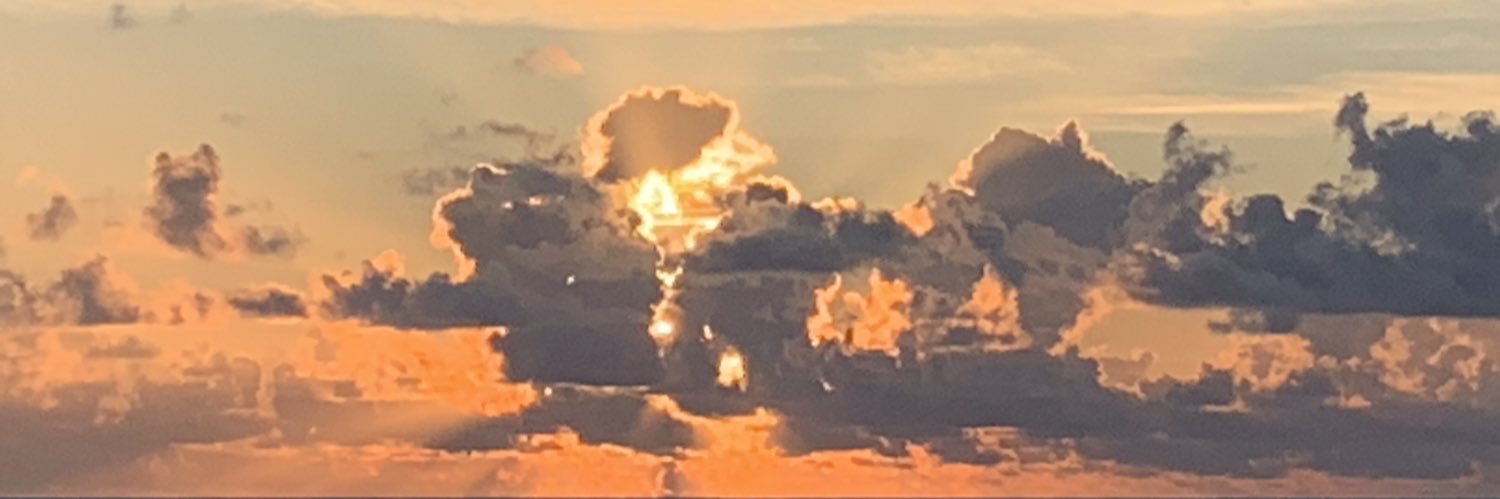 stultuses2's profile banner image