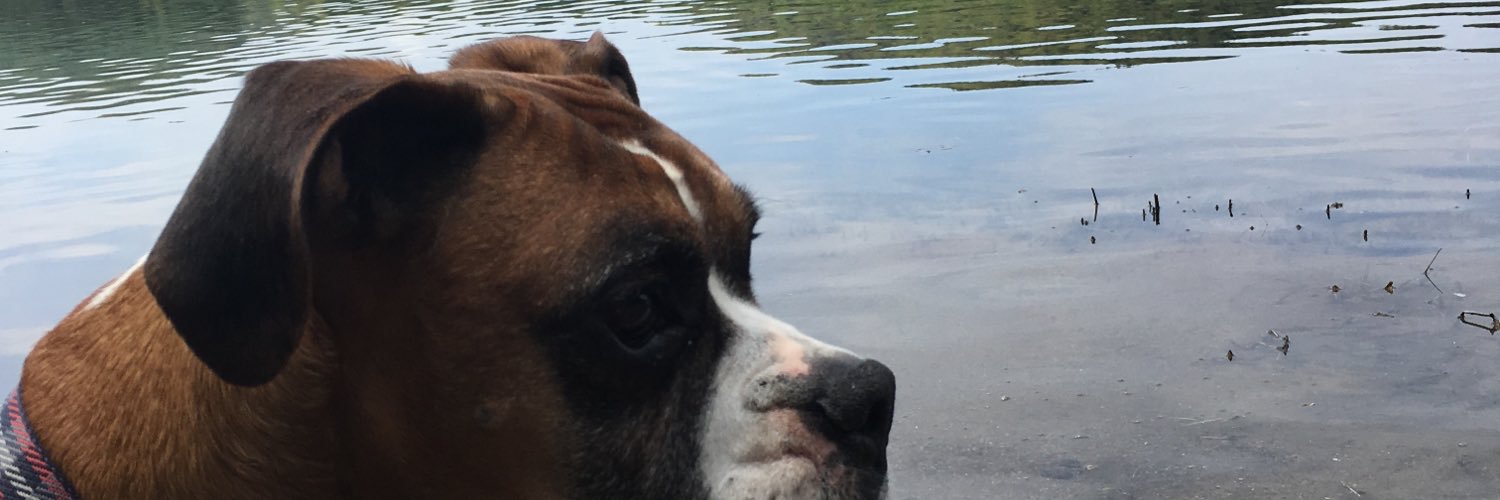 MitchVS's profile banner image