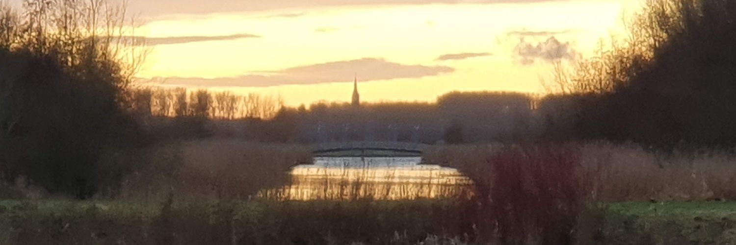 martinvdam's profile banner image