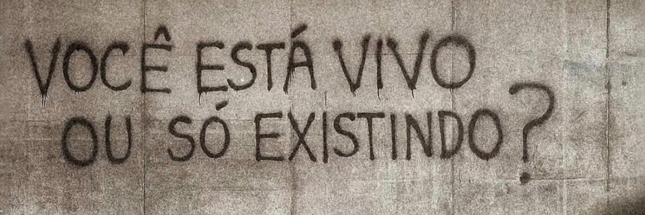 A rã cachota banner