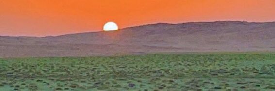 (البرقاوي) banner