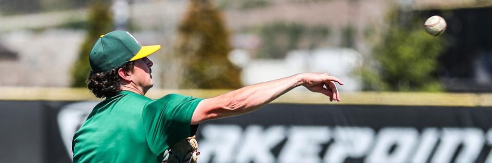 Drew Rothschild banner