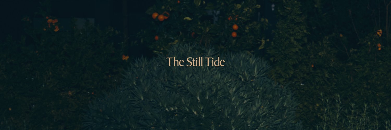 TheStillTide's profile banner image