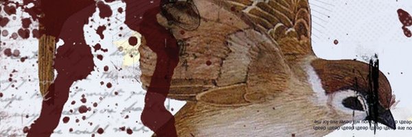 shin.νini banner