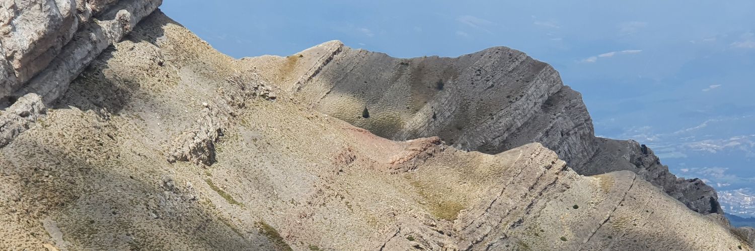 BToldraP's profile banner image