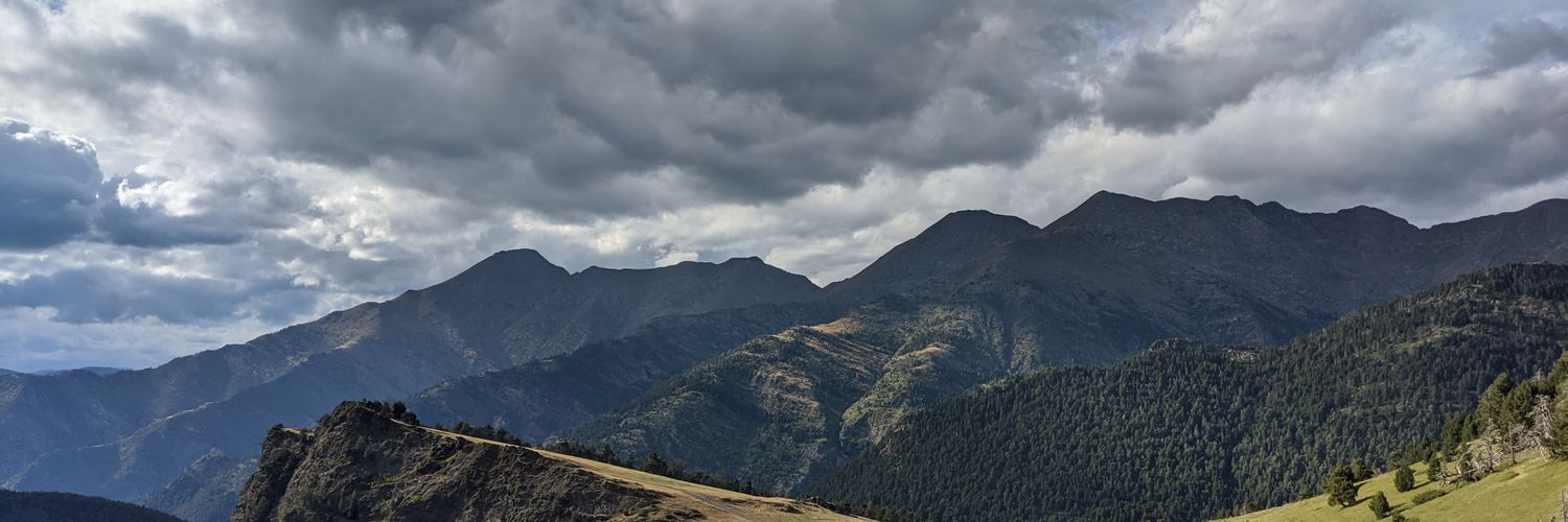 gonpitarga's profile banner image