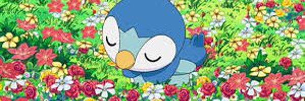 PhoenixMerik Profile Banner