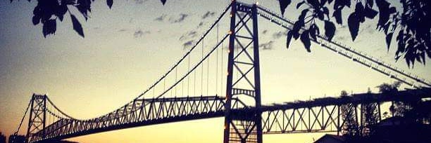 srburnsmelo's profile banner image