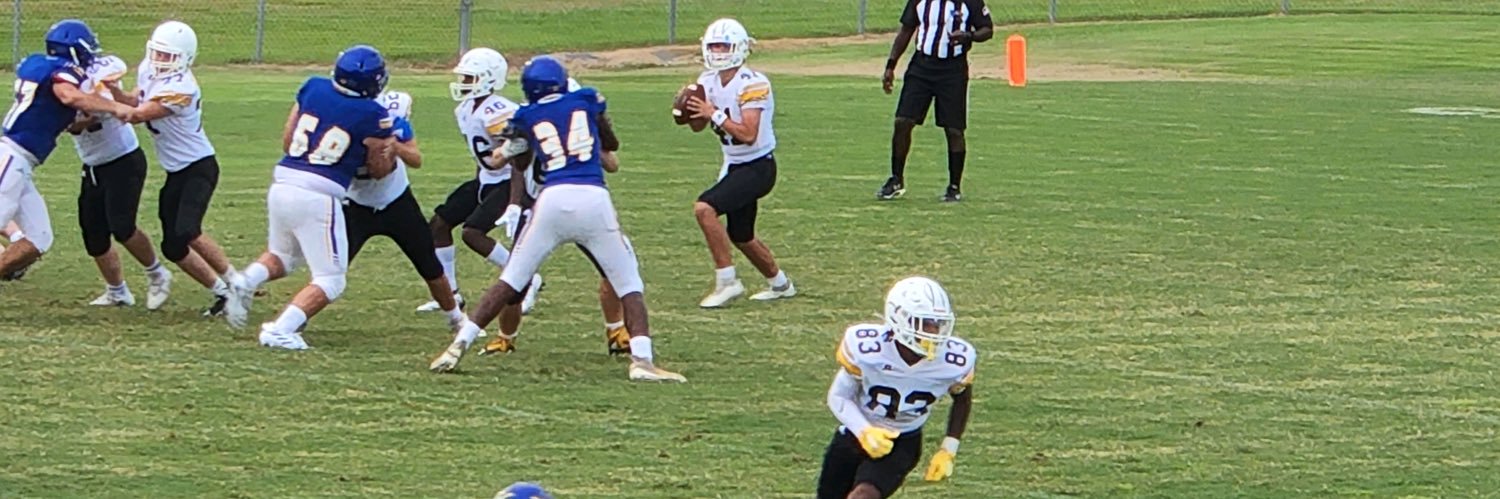 Garrett Graves banner
