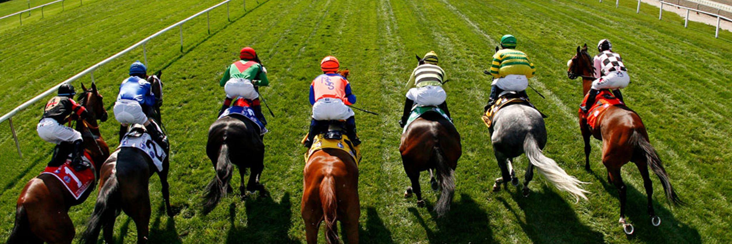 HorseMove's profile banner image
