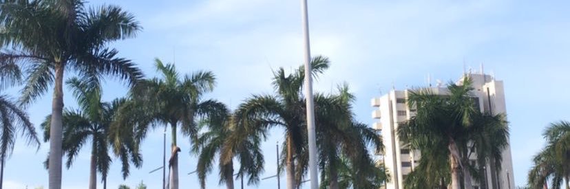 mrrcarol's profile banner image