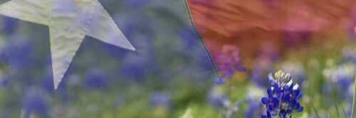 SusanAndersonPP's profile banner image
