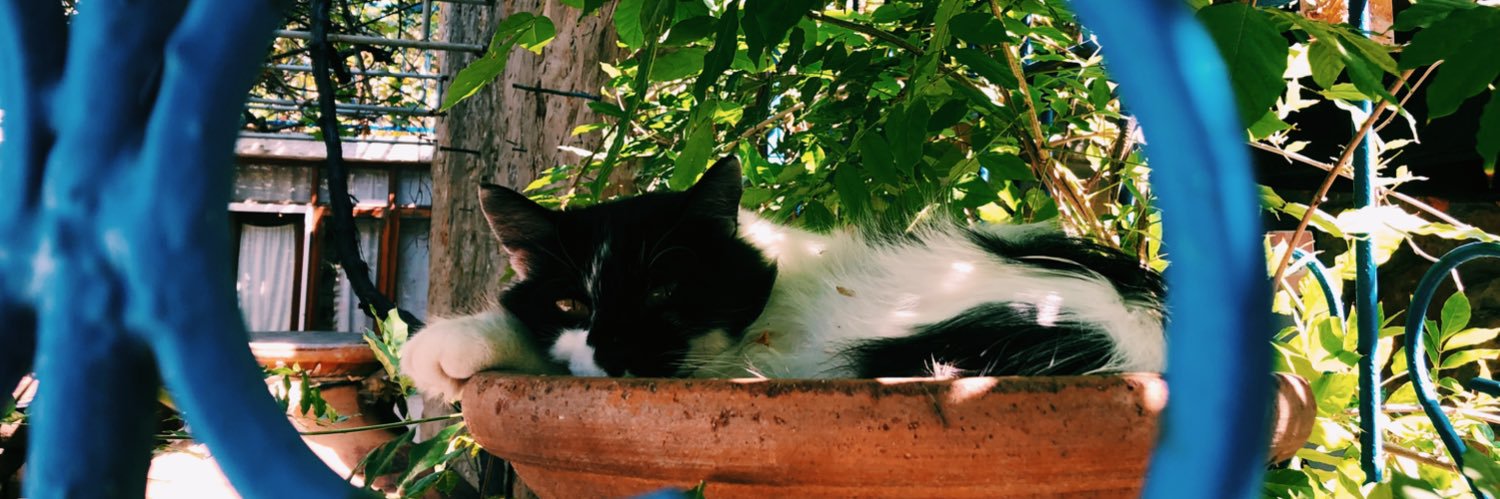 nidabaraa's profile banner image