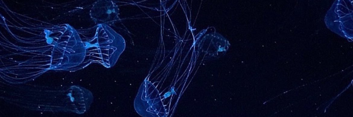 FHANR_'s profile banner image
